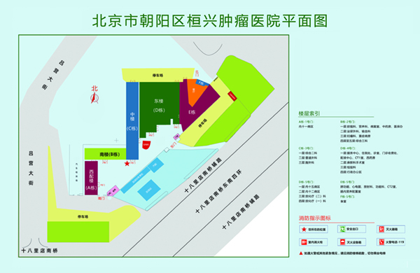 白嫩妞被狂干免费视频北京市朝阳区桓兴肿瘤医院平面图